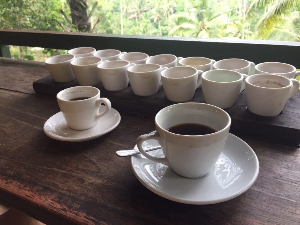 koffie of kopi luwak proeferij op bali