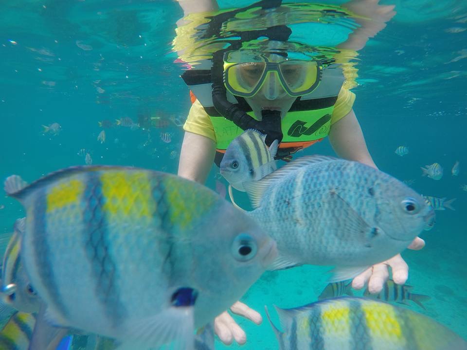 duiken in Pulau Seribu, Jakarta