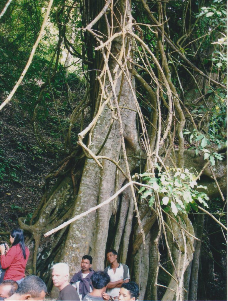 terumenyan boom in trunyan