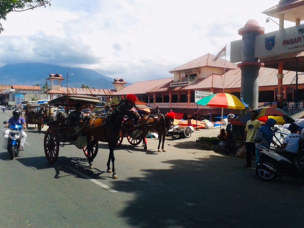 het openbaar vervoer in Bukittinggi West-Sumatra