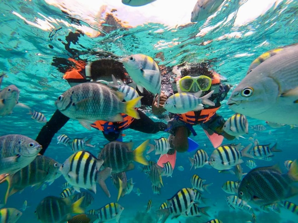 snorkelen tijdens je rondreis Indonesië kan prima bij Sabang eiland