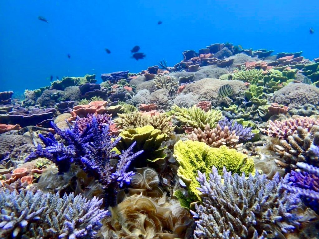 Karimunjawa op Java in Indonesië