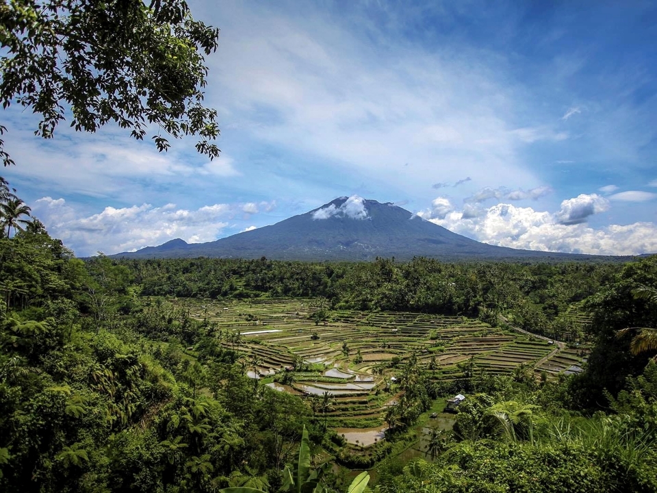 ristvelden zijn beroemde bezienswaardigheden op Bali