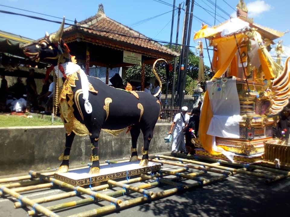 ervaar de mooie traditie ngaben op bali