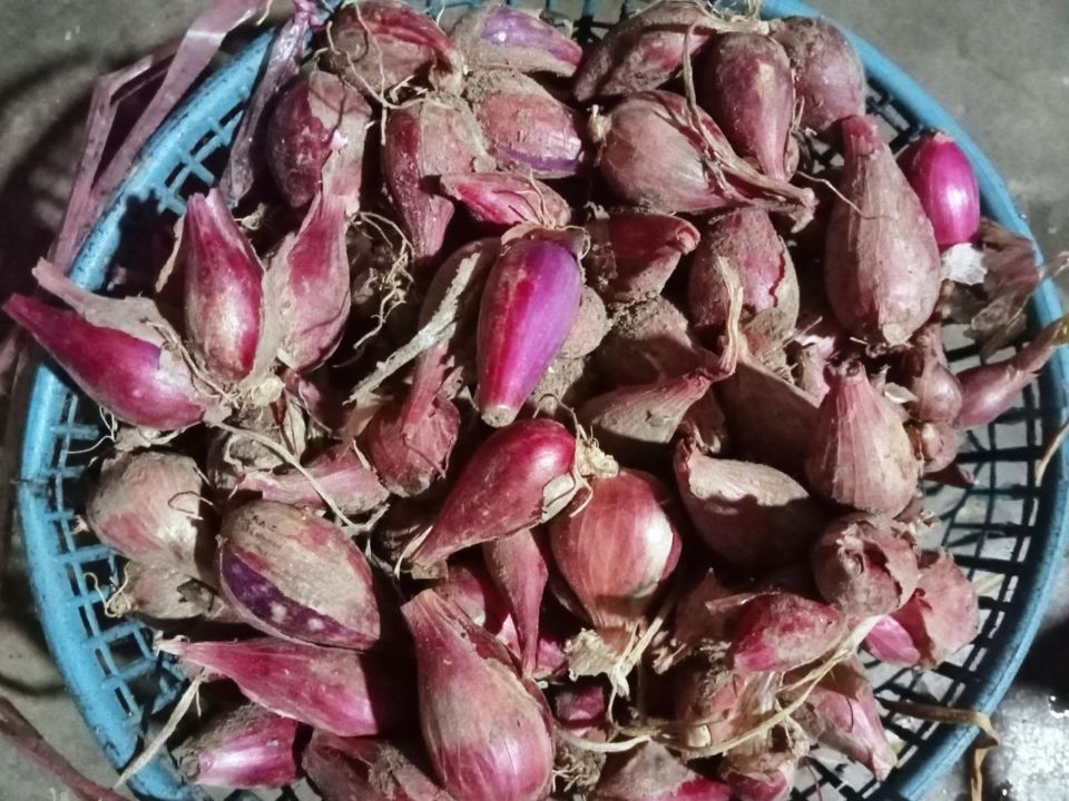Belangrijke kruiden in Indonesische keuken| sjalotjes
